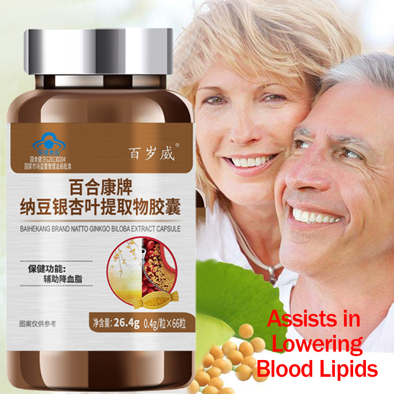 Ginkgo Biloba Extract - Unterstützt gesunde Blutfettspiegel Natto Ginkgo Biloba