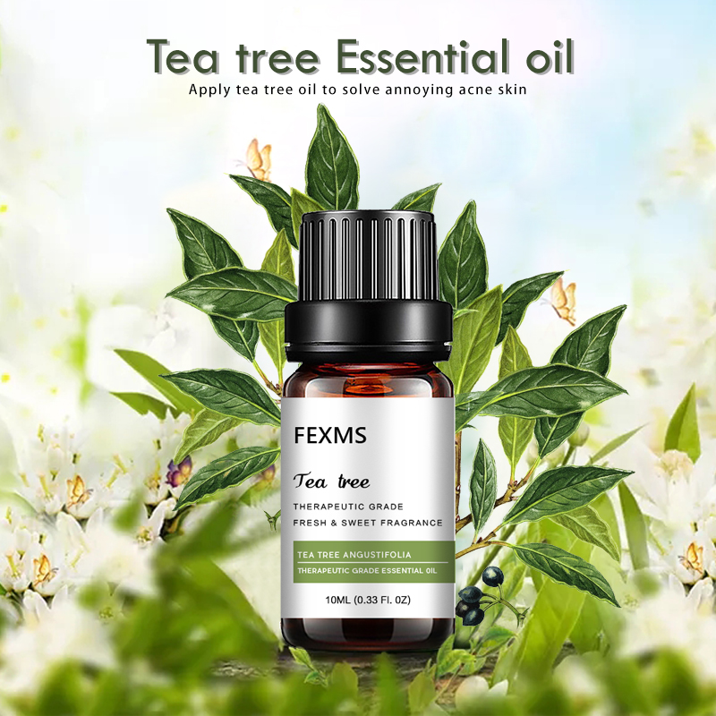 Herbal Wellness Tea - 100% reinen Tee Baum Ätherisches Öl-Hohe
