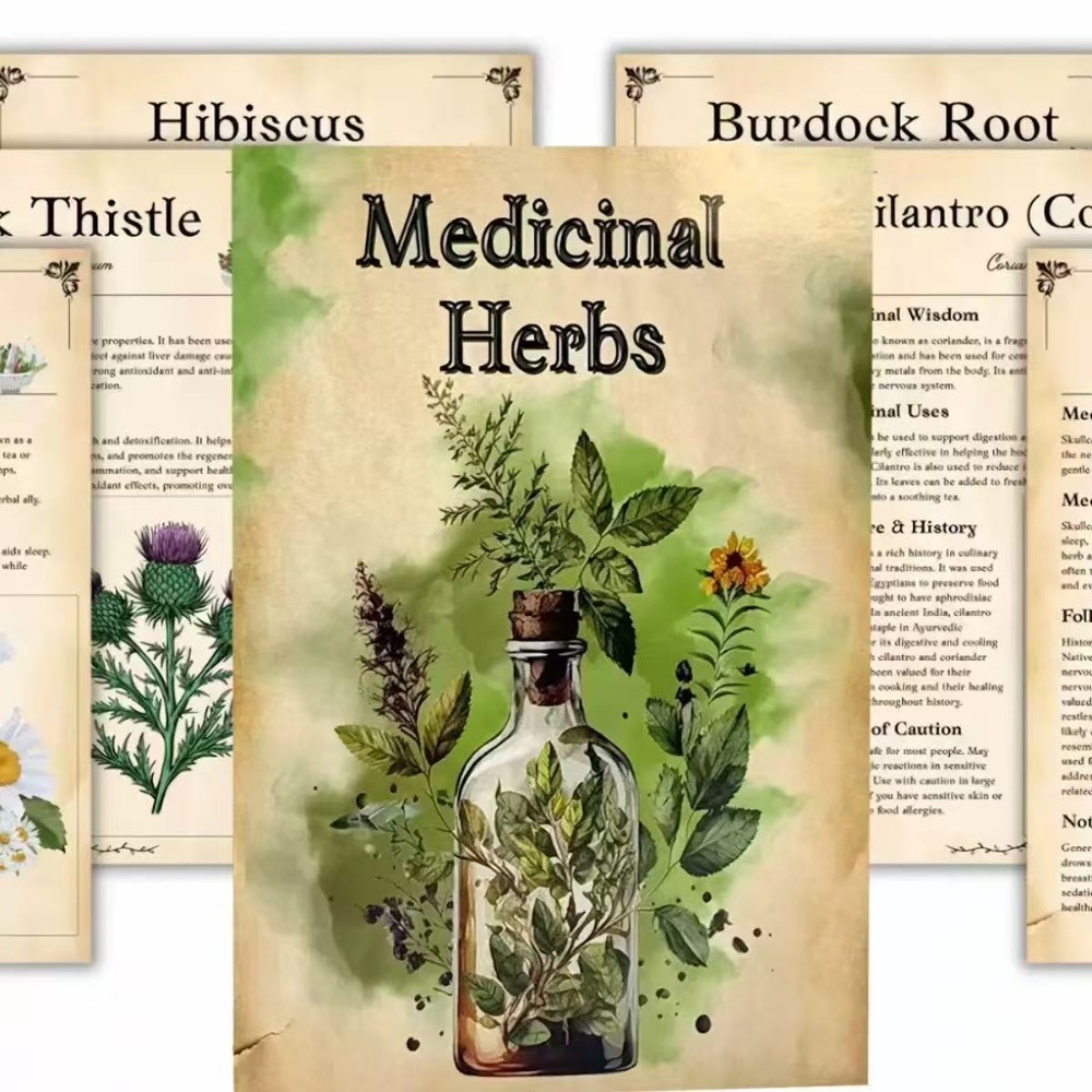 Natural Herbal Wellness - Medizinische Kräuter: Visueller Leitfaden zur Identifizierung