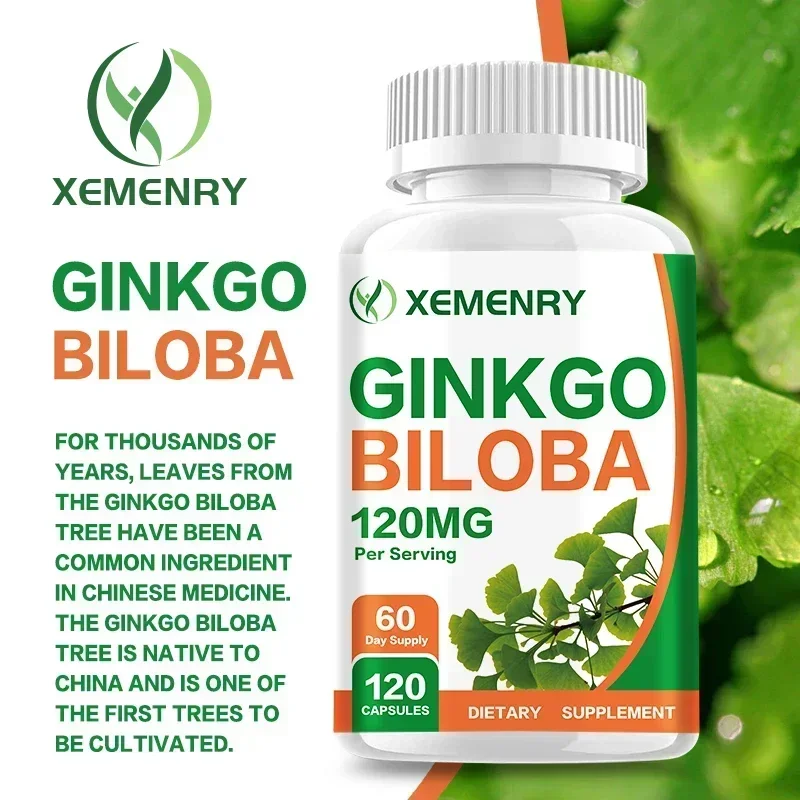 Ginkgo Biloba Extract - Ginkgo Biloba-Kapseln – Gehirnergänzungsmittel, Erinnerungsunterstützung, Gehirnfunktion,