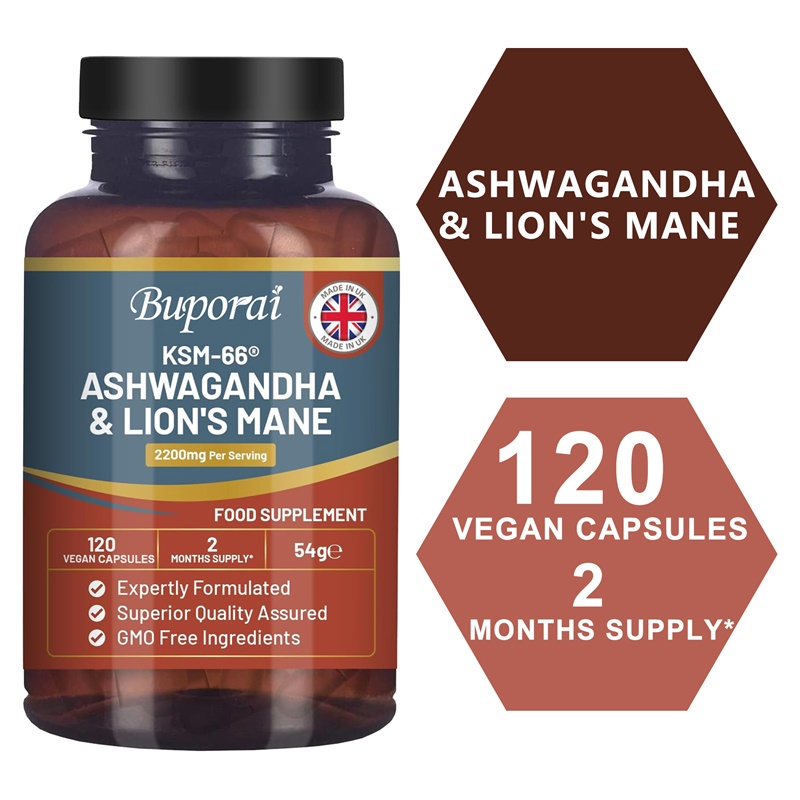Ashwagandha und Löwenmähne - S – Ginkgo Biloba Extract Bewertung und Preis