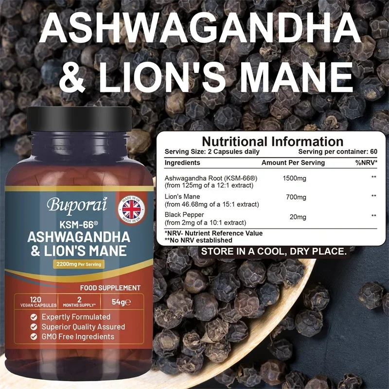 Ashwagandha und Löwenmähne - S – Ginkgo Biloba Extract Bewertung und Preis