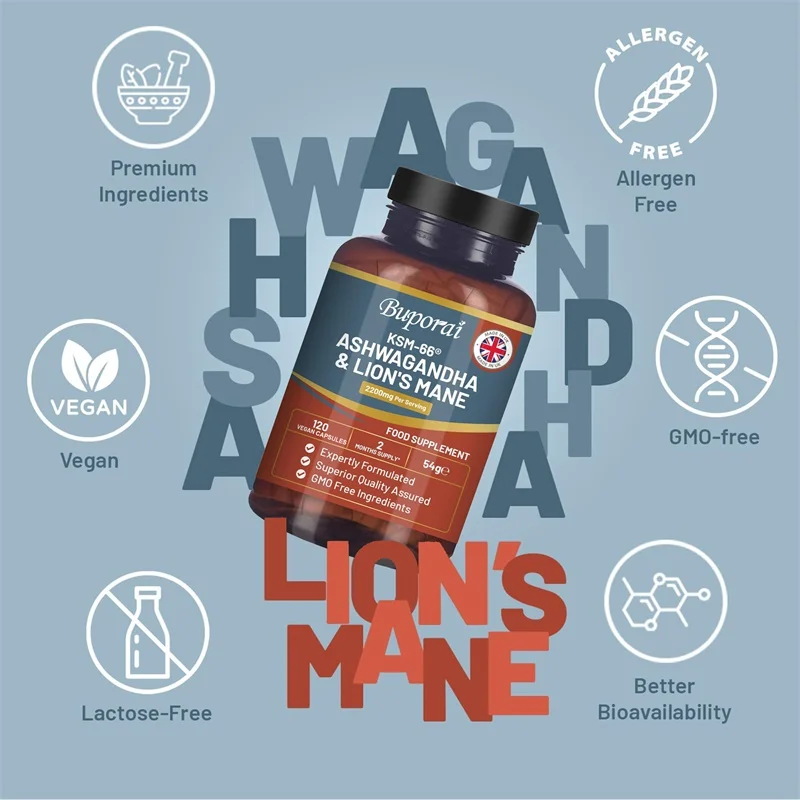 Ashwagandha und Löwenmähne - S – Ginkgo Biloba Extract Bewertung und Preis