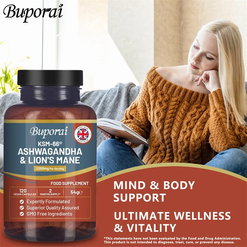 Ashwagandha und Löwenmähne - S – Ginkgo Biloba Extract Bewertung und Preis