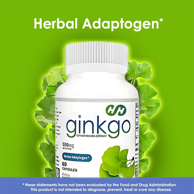 Nahrungsergänzungsmittel Ginkg – Ginkgo Biloba Extract Bewertung und Preis