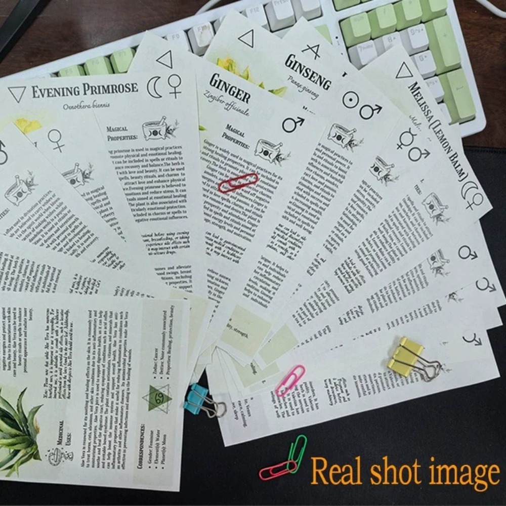 Rezeptbuch für Tinkturen: Pote – Herbal Wellness Tincture Bewertung und Preis