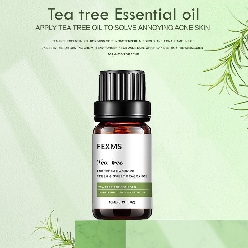 100% reinen Tee Baum Ätherisch – Herbal Wellness Tea Bewertung und Preis
