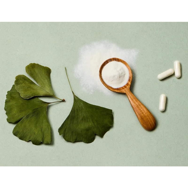 Kapseln mit Biloba-Blattextrak – Ginkgo Biloba Extract Bewertung und Preis