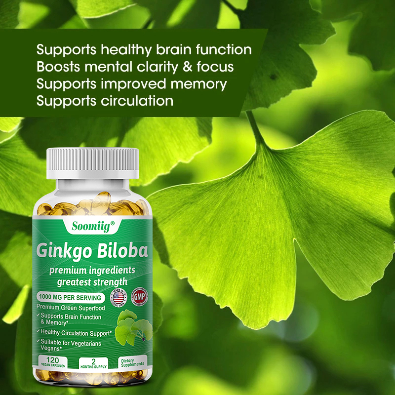 Ginkgo-Biloba-Kapseln – Gehirn – Ginkgo Biloba Extract Bewertung und Preis