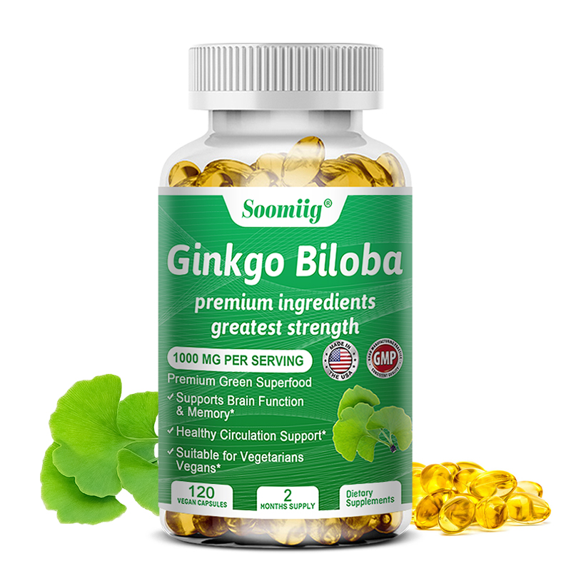 Ginkgo-Biloba-Kapseln – Gehirn – Ginkgo Biloba Extract Bewertung und Preis