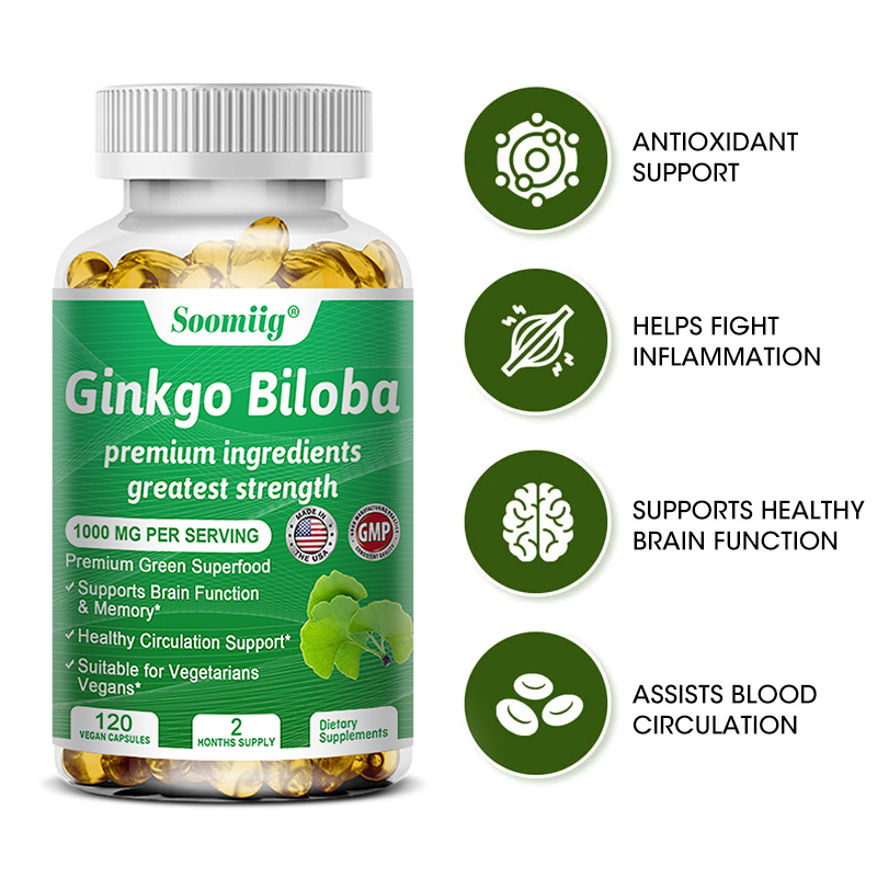 Ginkgo-Biloba-Kapseln – Gehirn – Ginkgo Biloba Extract Bewertung und Preis