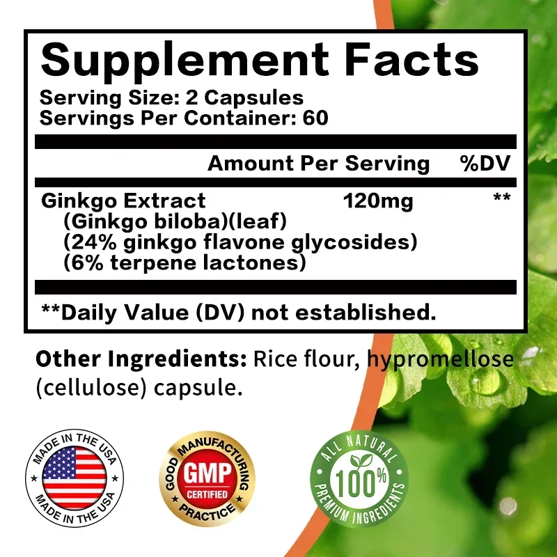 Ginkgo Biloba-Kapseln – Gehirn – Ginkgo Biloba Extract Bewertung und Preis