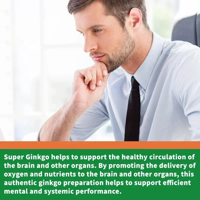 Ginkgo Biloba-Kapseln – Gehirn – Ginkgo Biloba Extract Bewertung und Preis